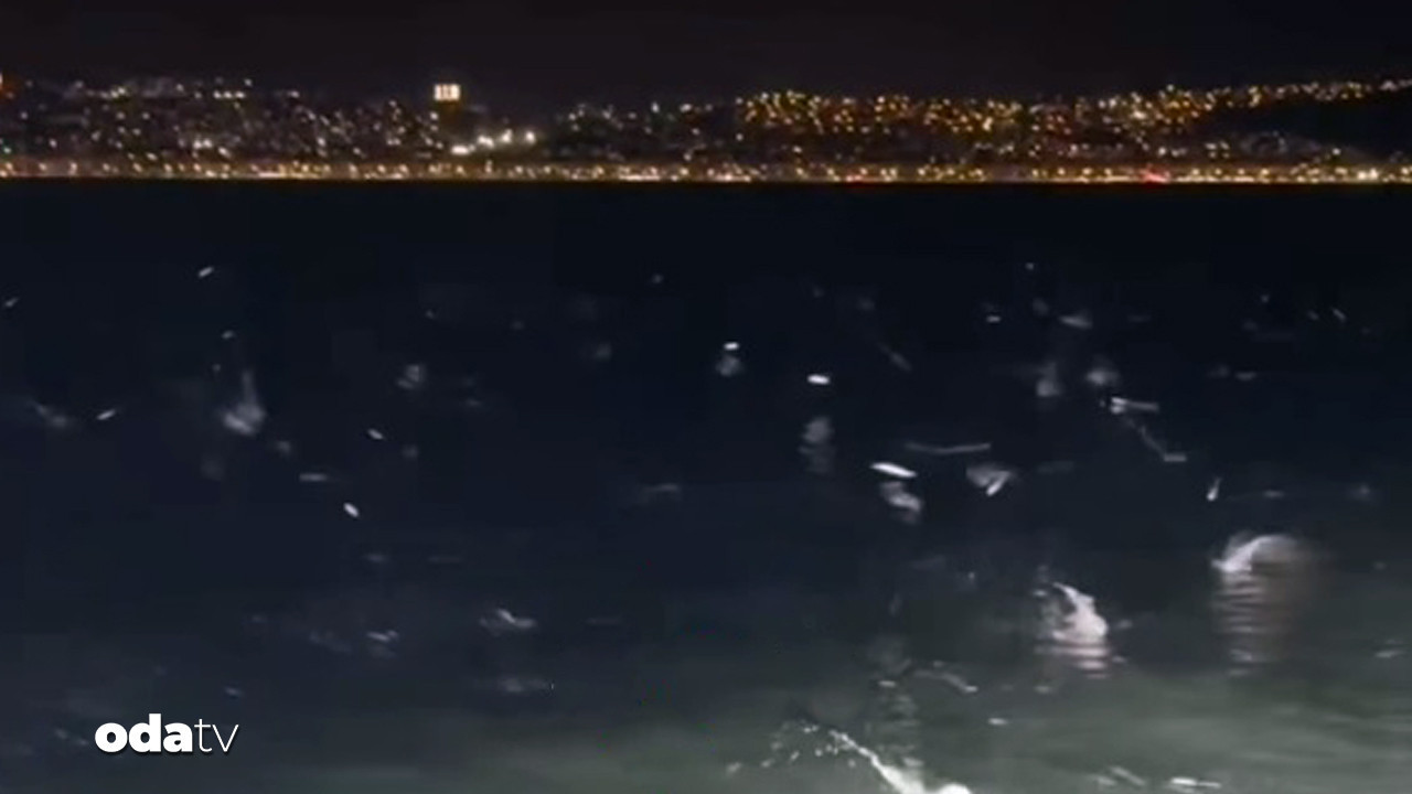 İzmir’de korkutan görüntü